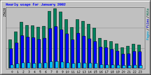 Hourly usage for January 2002