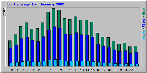 Hourly usage for January 2002